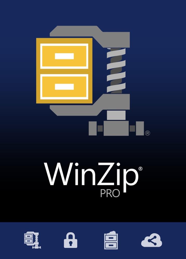 WinZip 29 Pro (1 PC - perpetual) ESD