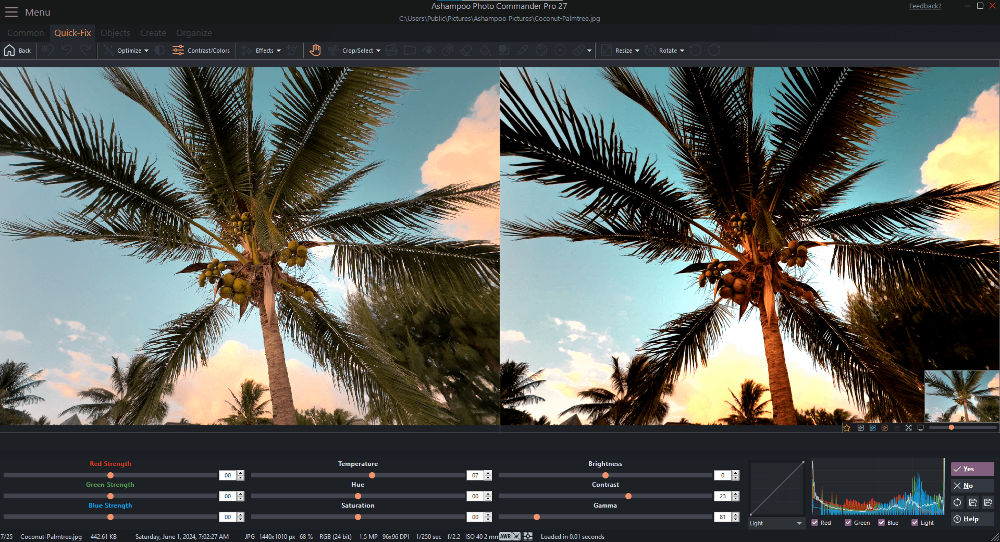 Ashampoo Photo Commander Pro 27 (1 PC - Lifetime) ESD