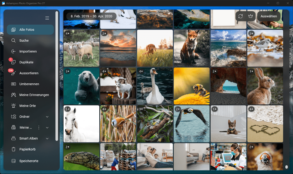 Ashampoo Photo Organizer Pro 27 (1 PC - Lifetime) ESD